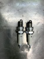 IMG_5919 plugs 7 23.jpg