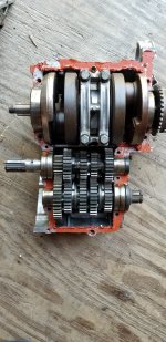 20190428_143746 2.jpg