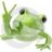 frogman79